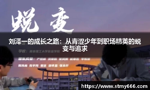 BB贝博登录入口